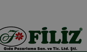 Filizgida.com.tr thumbnail