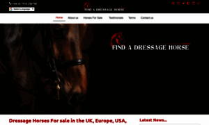 Findadressagehorse.com thumbnail