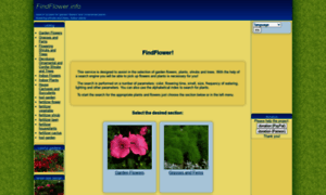 Findflower.info thumbnail