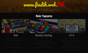 Findik.web.tr thumbnail