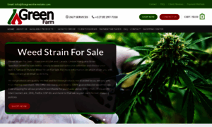 Finegreenfarmstate.com thumbnail