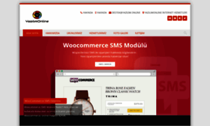 Firma2.smshizmetleri.com thumbnail