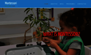 Firstdcmontessori.com thumbnail