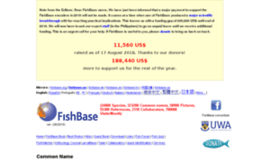 Fishbase.us thumbnail
