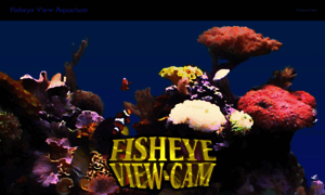 Fisheyeview.com thumbnail