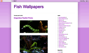 Fishwallpapersadda.blogspot.com thumbnail