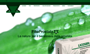 Fitoprostata.org thumbnail