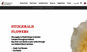 Fitzgeraldflowers.ie thumbnail