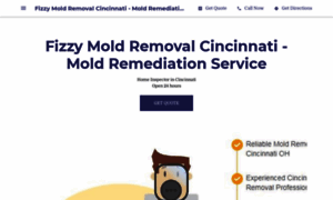 Fizzy-sell-mold-removal.business.site thumbnail