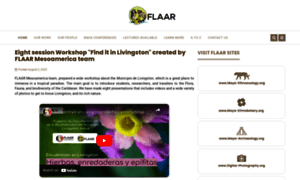 Flaar.org thumbnail