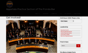 Flabarappellate.org thumbnail