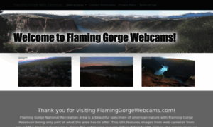 Flaminggorgewebcams.com thumbnail