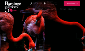 Flamingogardens.org thumbnail