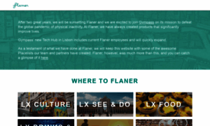 Flaner.com thumbnail