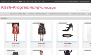 Flash-programming-chicago.com thumbnail