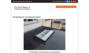 Flat-roof-repairs.southdublinroofing.ie thumbnail