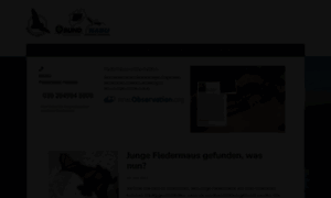 Fledermausschutz.de thumbnail