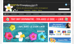 Fleur-de-frangipanier.fr thumbnail