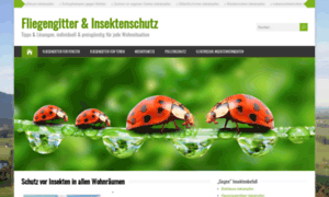 Fliegengitter-und-insektenschutz.de thumbnail