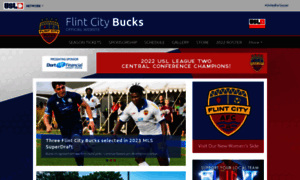 Flintcitybucks.com thumbnail