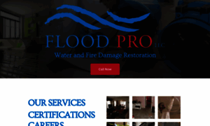 Floodprollc.com thumbnail