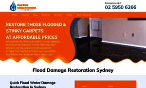 Floodwaterdamagerestorationsydney.com.au thumbnail