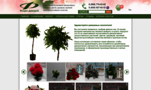 Flora-decor33.ru thumbnail