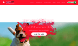 Florapetveteriner.com thumbnail