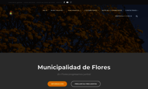 Flores.go.cr thumbnail