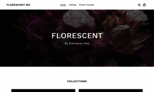 Florescent.mx thumbnail