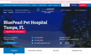 Florida.bluepearlvet.com thumbnail