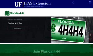 Florida4h.org thumbnail