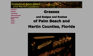 Floridagrasses.org thumbnail