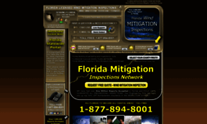 Floridamitigationinspections.com thumbnail