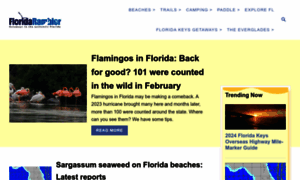Floridarambler.com thumbnail