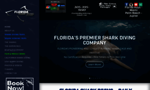 Floridasharkdiving.com thumbnail