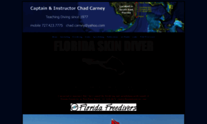 Floridaskindiver.com thumbnail