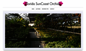 Floridasuncoastorchids.com thumbnail