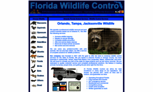 Floridawildlifecontrol.com thumbnail