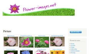 Flower-images.net thumbnail