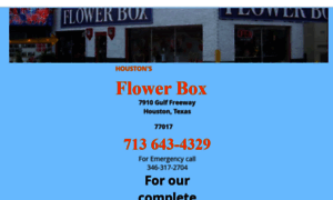Flowerboxhouston.com thumbnail