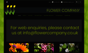 Flowercompany.co.uk thumbnail