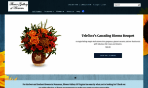 Flowergallerymanassas.com thumbnail