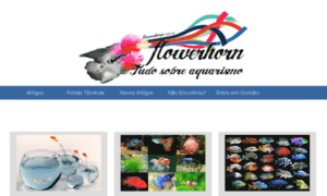 Flowerhorn.com.br thumbnail