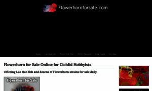 Flowerhornforsale.com thumbnail