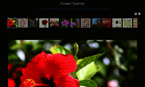 Flowernames.co thumbnail