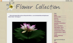 Flowers-collections-photo-gallery.blogspot.com thumbnail