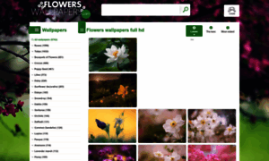 Flowers-wallpapers.com thumbnail