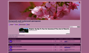 Flowers.forum2x2.ru thumbnail