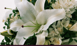 Flowersbycindyinc.com thumbnail